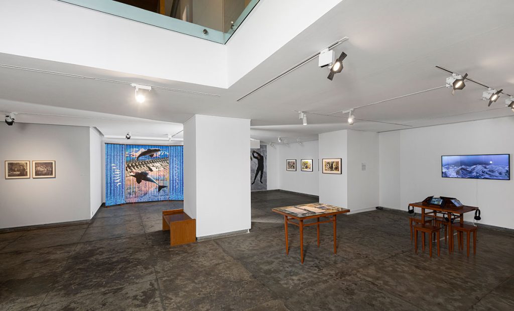 Historia Denaturalis (Gallery Espace, 2026) — Curated by Damian Christinger